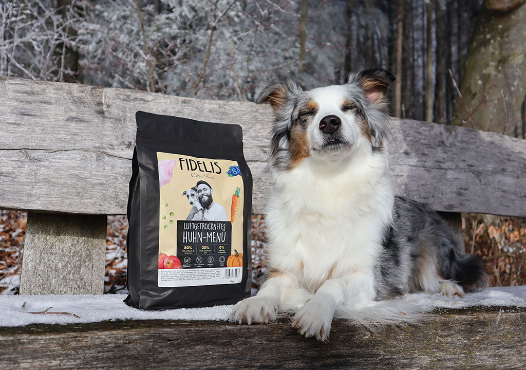 KO-TEST warnt  Wie sicher ist das Futter deines Hundes?