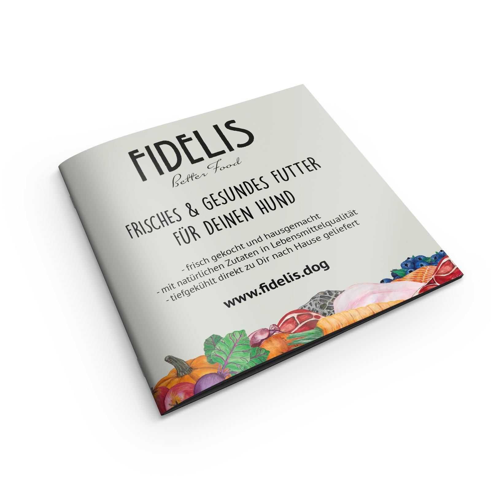 FIDELIS Broschüre