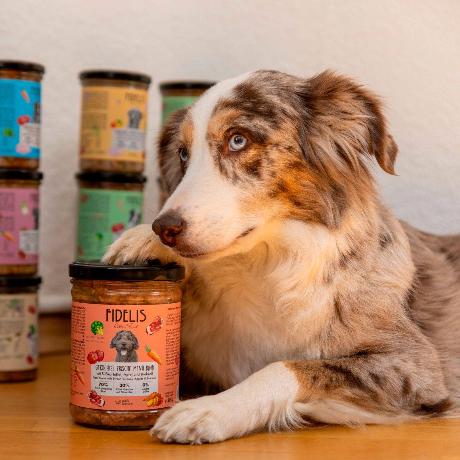 Kennenlern-Bundle: Frische Menüs im Glas (10 + 2 Gratis)