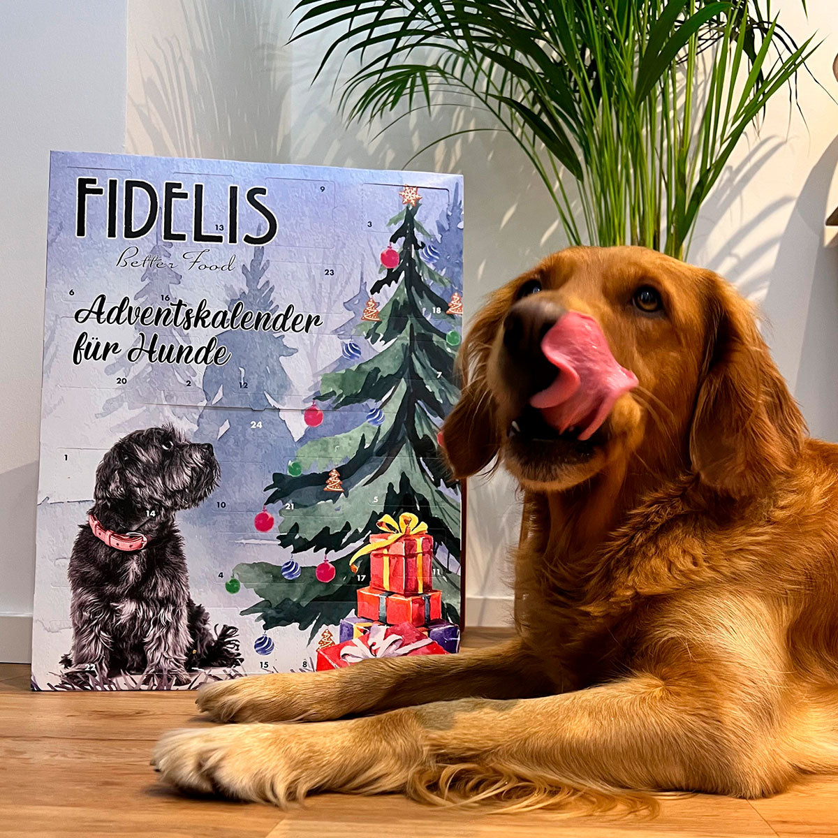 XL-Adventskalender "Weihnachtsbaum"