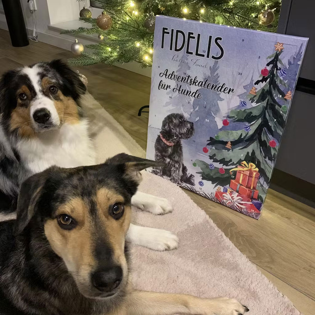 XL-Adventskalender "Weihnachtsbaum"