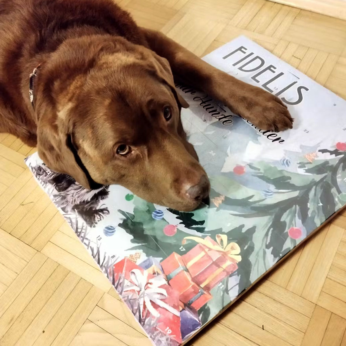 XL-Adventskalender "Weihnachtsbaum"