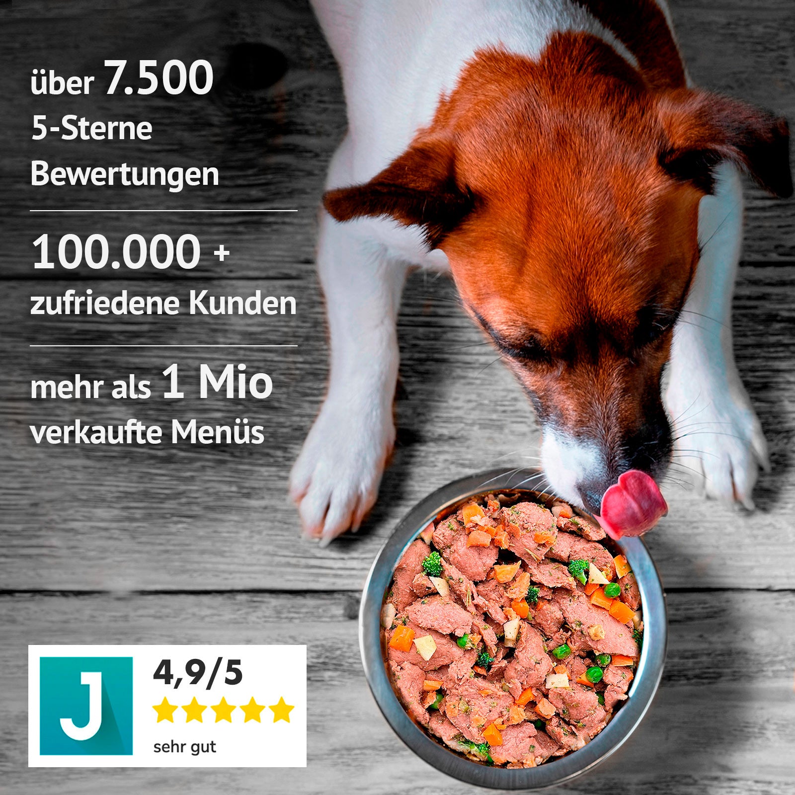 gekochtes Frische-Menü für Hunde mit Schwein und Buchweizen im Glas