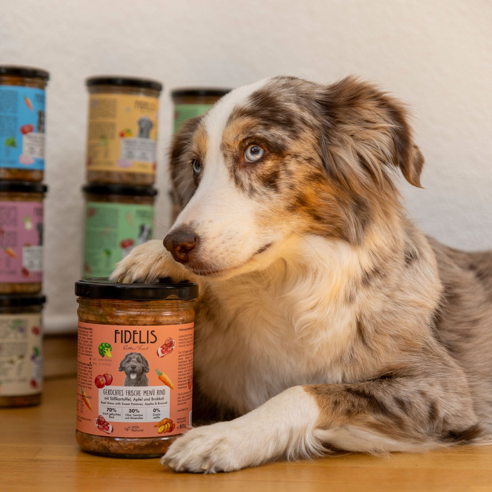 Pferd mit Süßkartoffel, Karotte und Blaubeeren (im Glas)