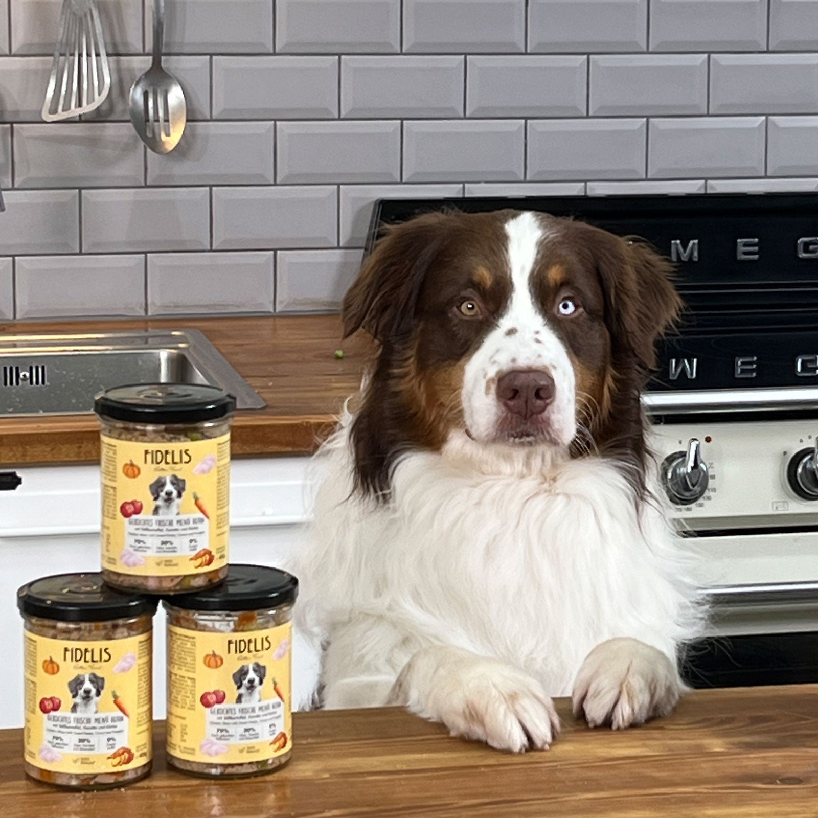 Huhn mit Reis, Zucchini und Mango (im Glas)