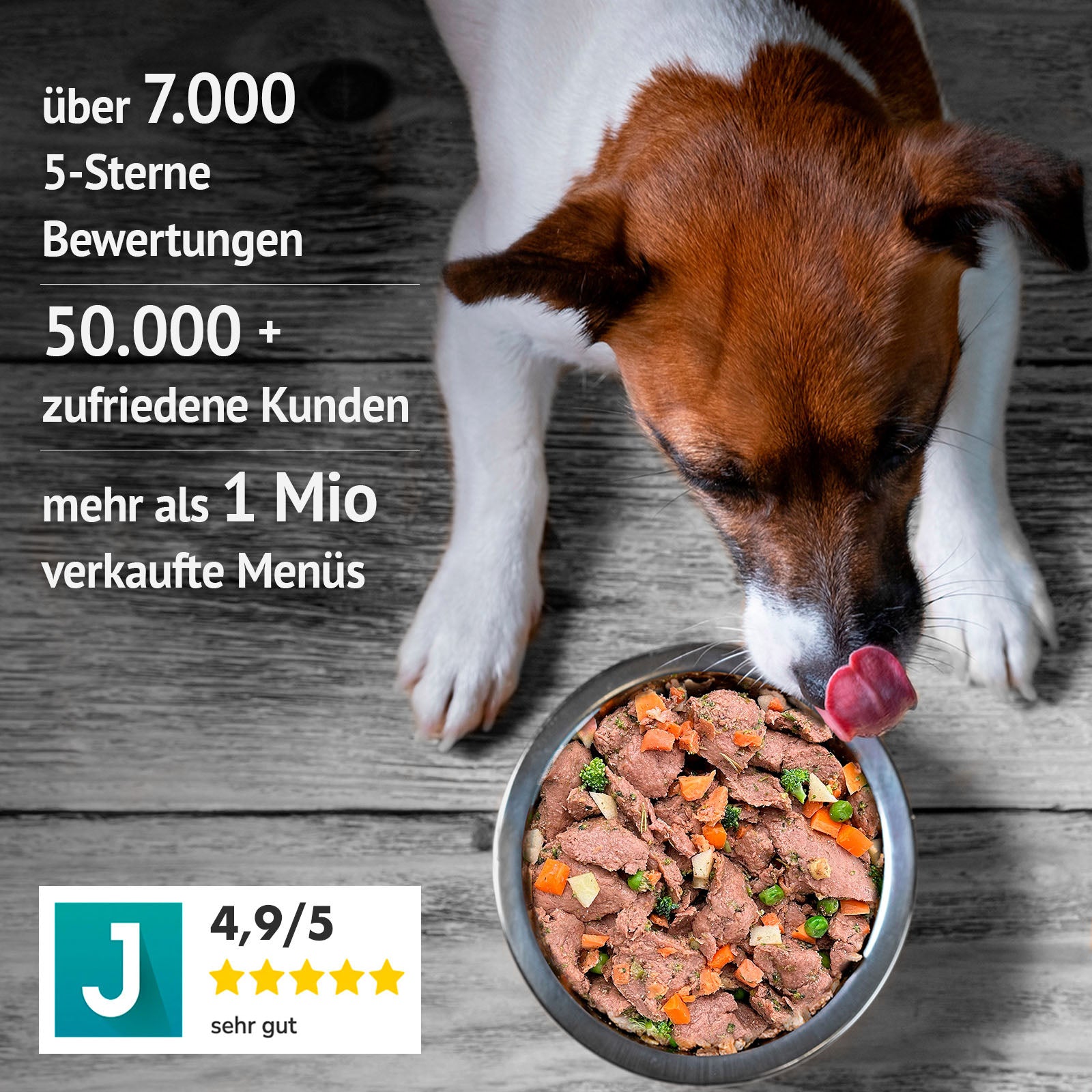 Ente mit Süßkartoffel, Birne und Blaubeeren (400g, gefroren)