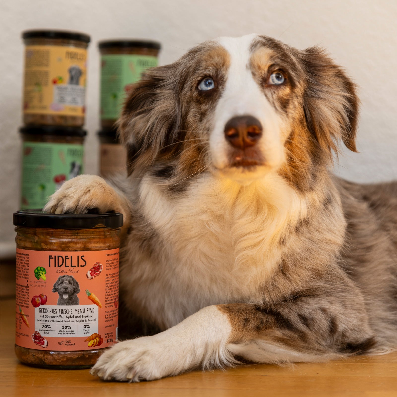 Pferd mit Süßkartoffel, Karotte und Blaubeeren (400g, im Glas)