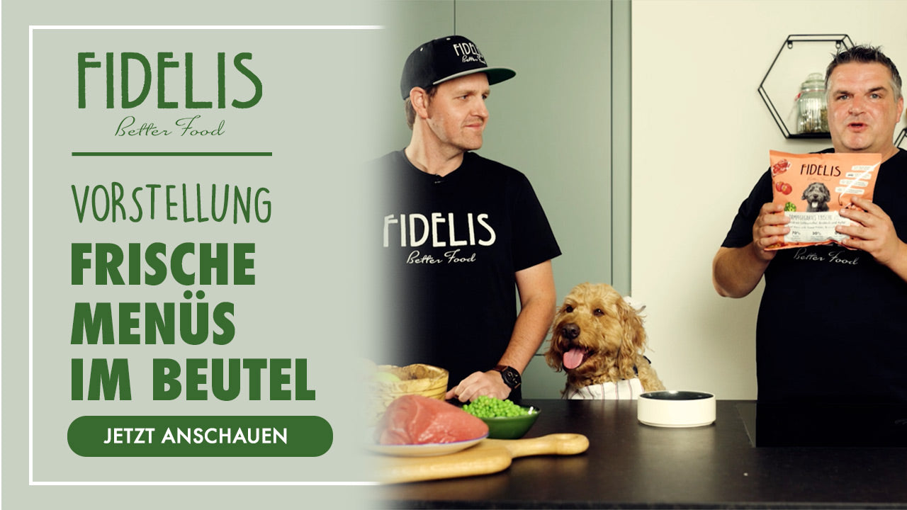 Frische Menüs im Beutel